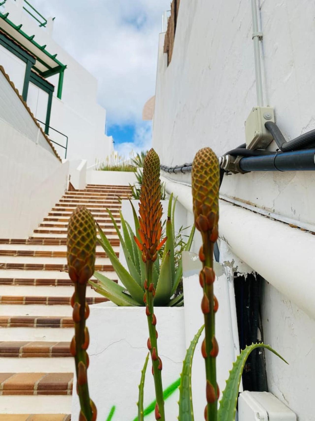 Tenerife.365 Atalaya Court II Sunset Ocean View アデヘ エクステリア 写真